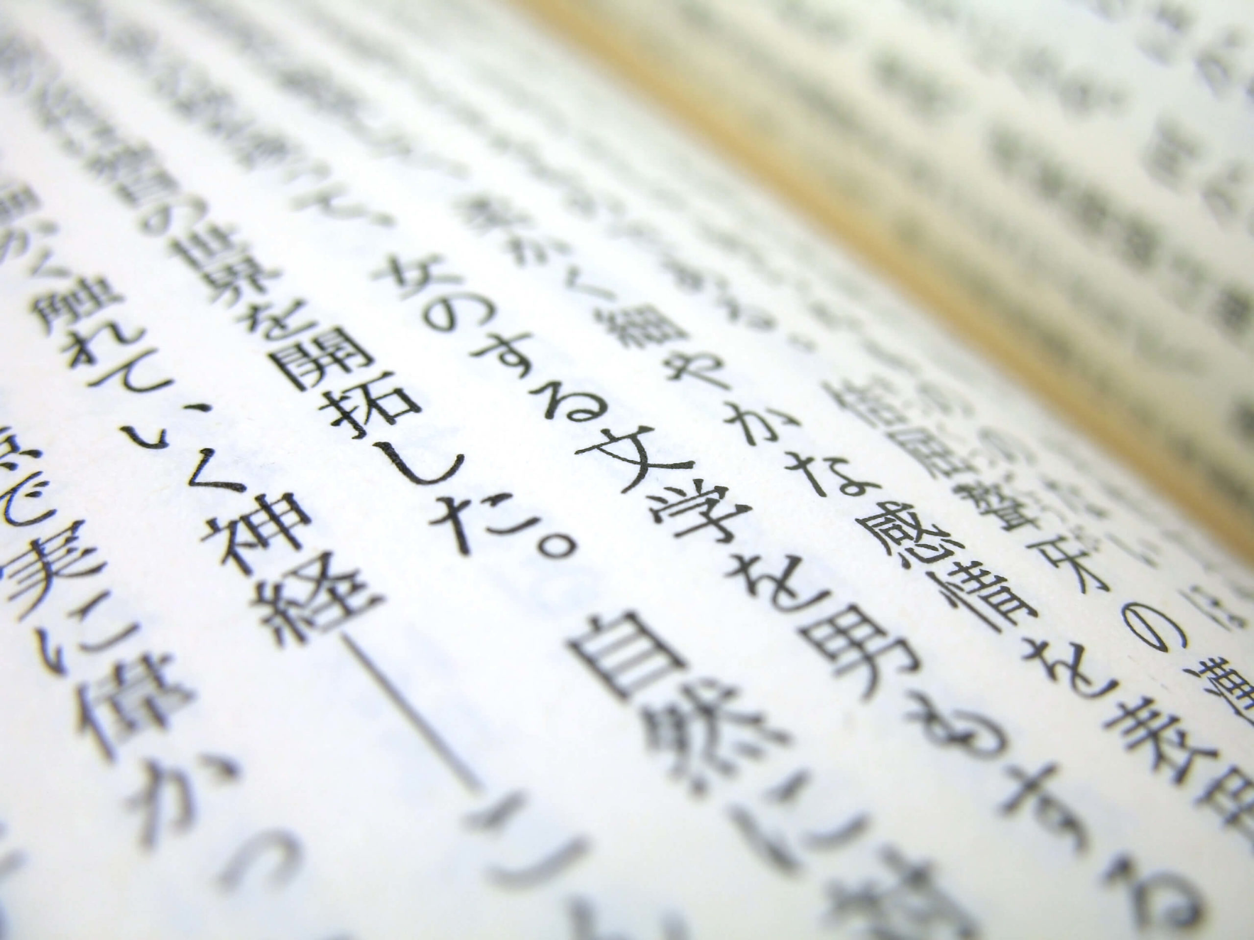 the Japanese language