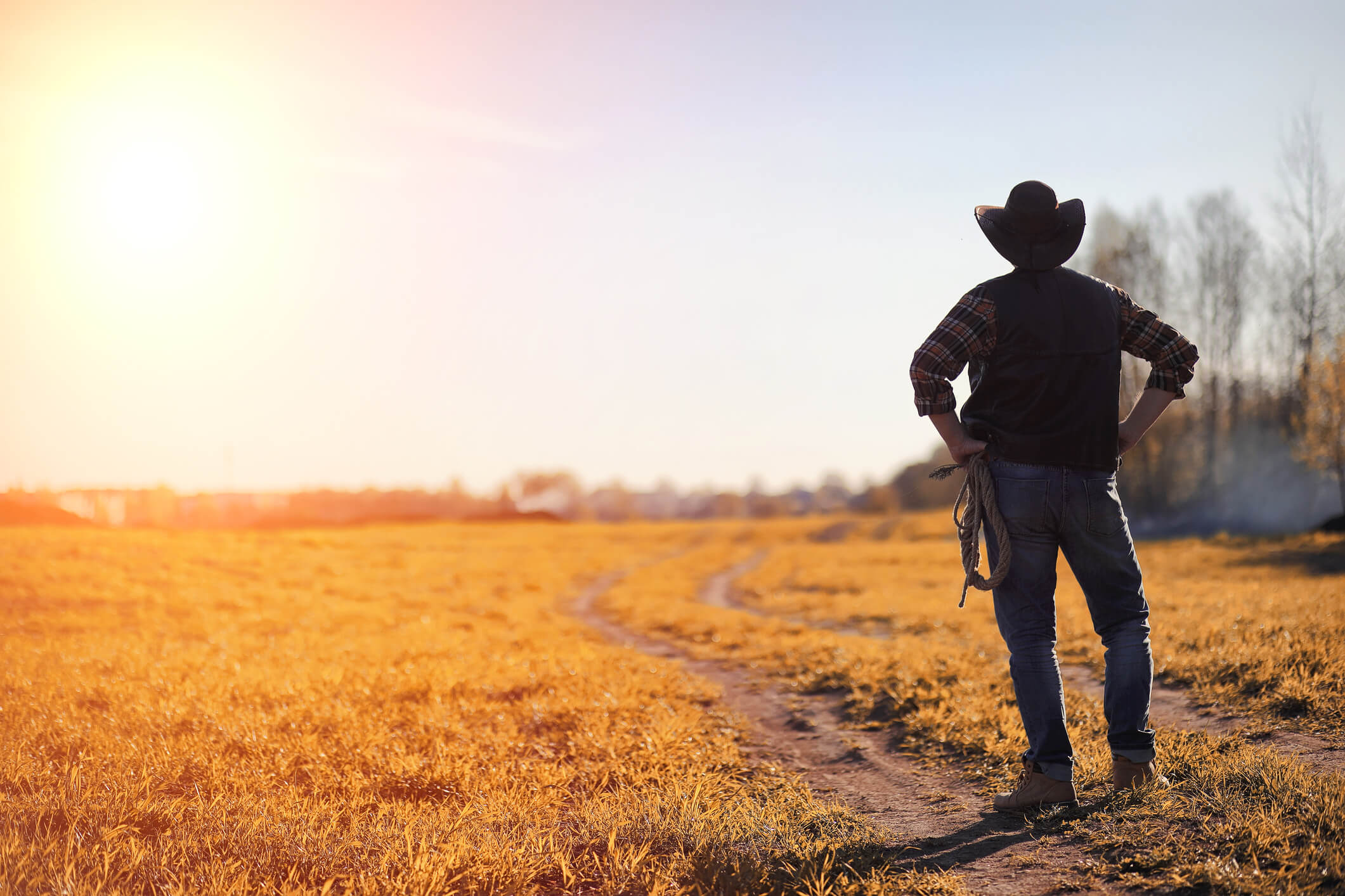 the cowboy epitomizes American decision-making style