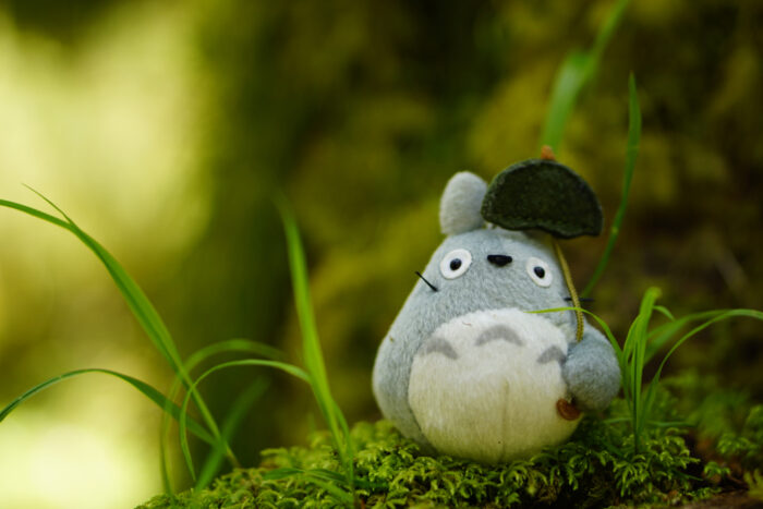 Totoro plushie photographed by some grass