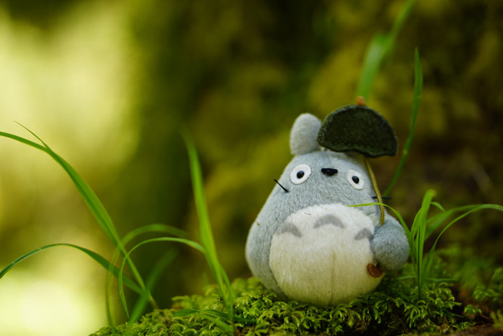 Totoro plushie photographed by some grass